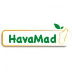havamad